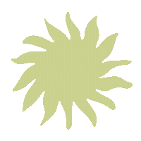 A simple, stylized sun shape with wavy rays is centered on a pale green background.